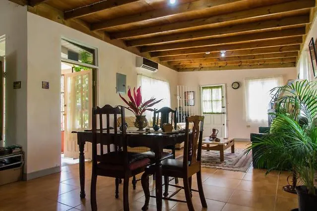 Guest house Sinopia Inn Port Antonio