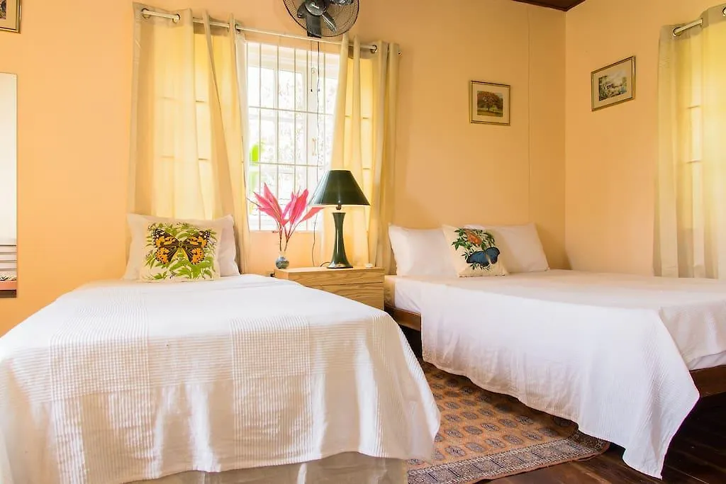 Sinopia Inn Port Antonio Guest house