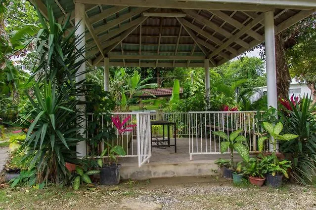 Sinopia Inn Port Antonio