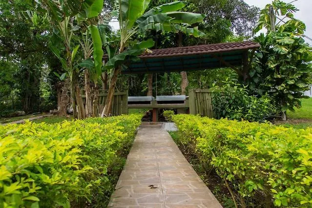 Sinopia Inn Port Antonio Guest house