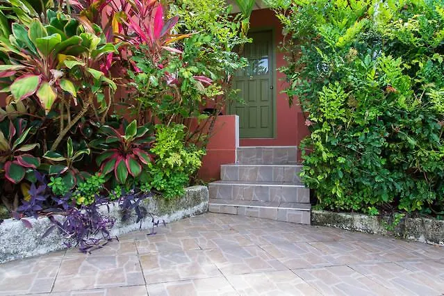 Sinopia Inn Port Antonio